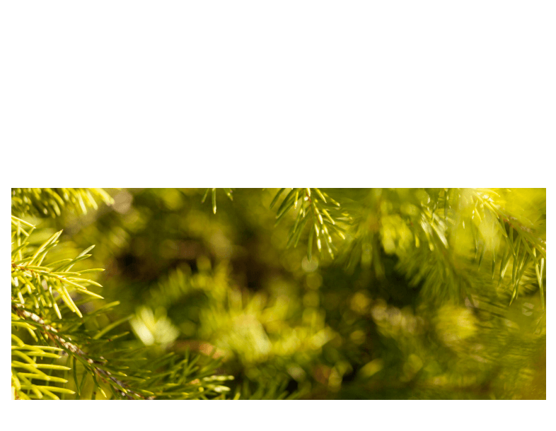 花粉 高温のスチームや熱により、付着した花粉のアレルゲンを変性させ、不活化させる効果も。