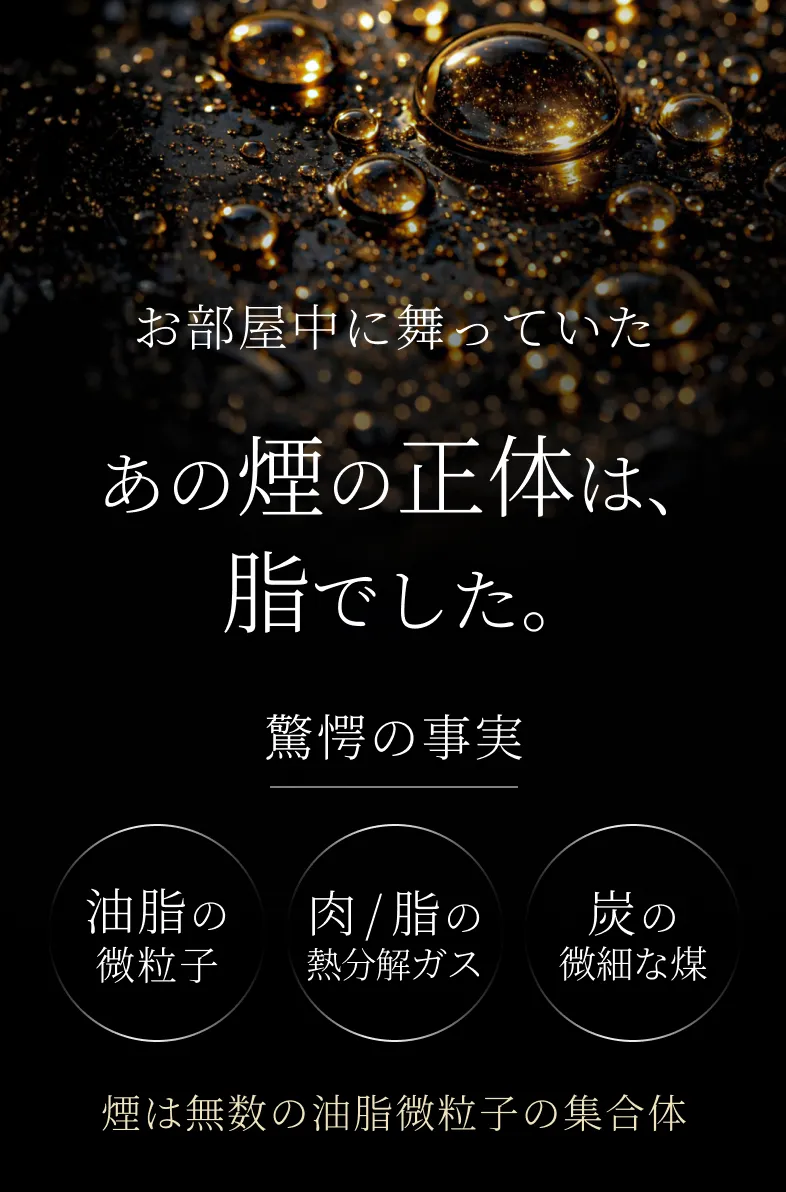 お部屋の中に舞っていた あの煙の正体は、脂でした。
